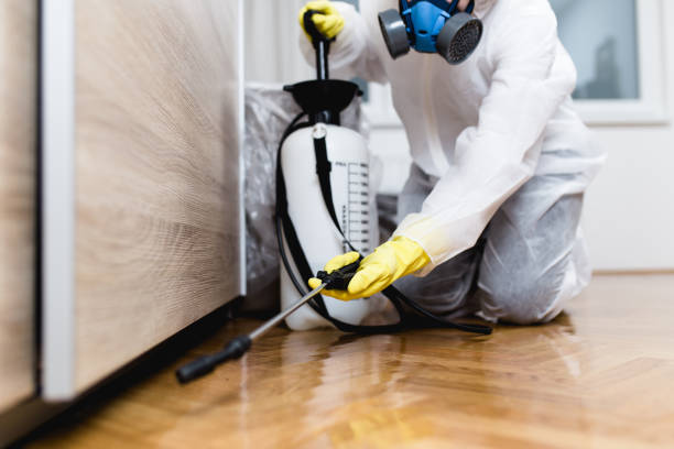 Best Wildlife Control Services  in Belleair Bluffs, FL