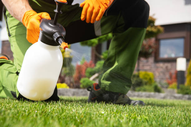Best Pest Inspection Near Me  in Belleair Bluffs, FL
