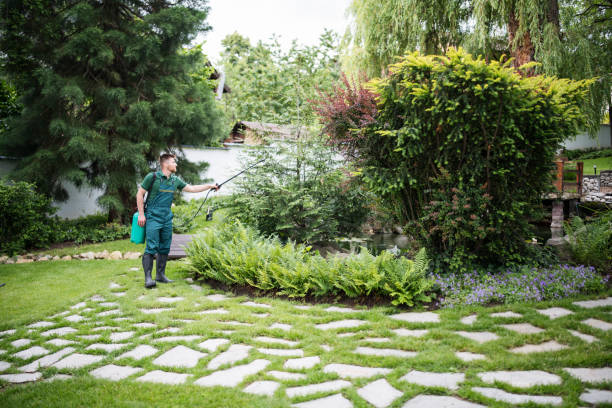 Professional Pest Control in Belleair Bluffs, FL
