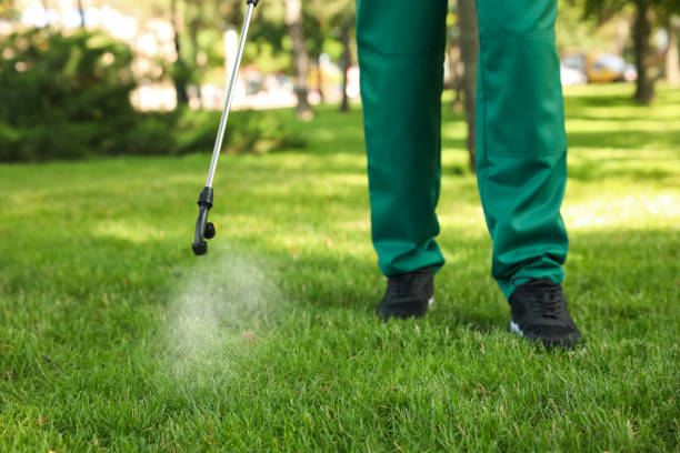 Trusted Belleair Bluffs, FL Pest Control Experts
