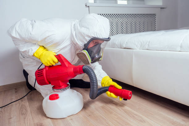 Best Local Pest Control Services  in Belleair Bluffs, FL