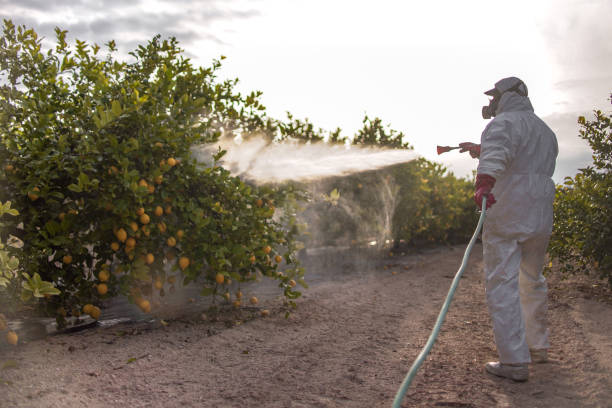 Best Emergency Pest Control  in Belleair Bluffs, FL