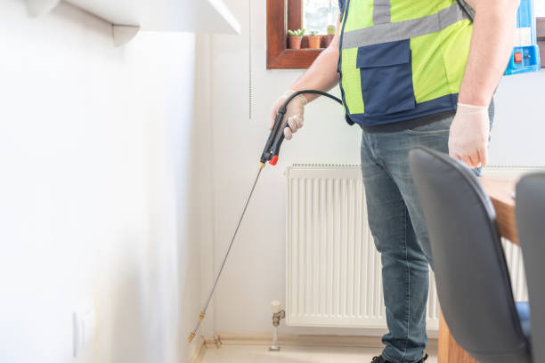 Best Pest Control Near Me in Belleair Bluffs, FL