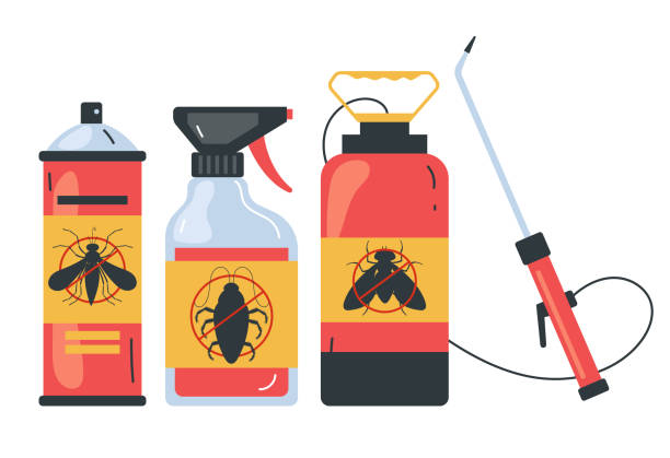 Best Termite Control Services  in Belleair Bluffs, FL