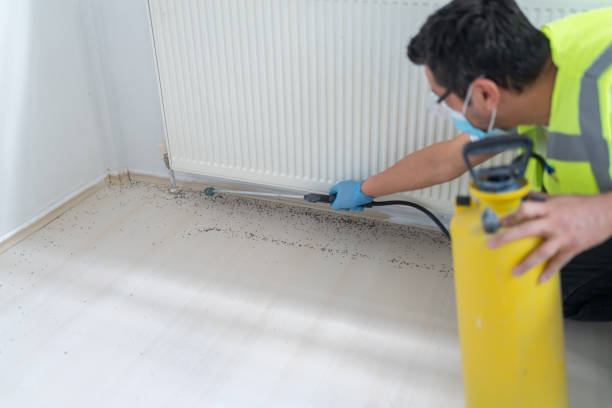 Best Pest Control Near Me  in Belleair Bluffs, FL